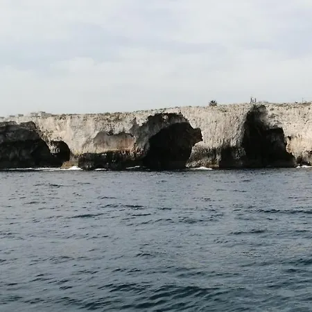 Albatiara Rent Boat *